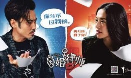 离婚律师爆料案例大全最新,最新案例大全深度剖析婚姻裂痕背后的真相