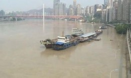 重庆洪水最新爆料信息,城区告急，紧急救援行动全面展开
