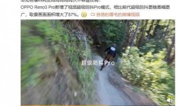 常绿干部爆料视频最新版,揭秘权力背后的真相