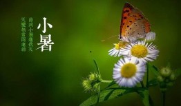 小花加油最新爆料图片大全,高清美图大揭秘！